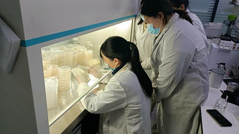 微生物檢測濾膜法操作規(guī)程是怎么樣的?